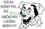 Informativní cedulka -VCELKU HODNÝ PES......
