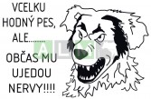 Informativní cedulka -VCELKU HODNÝ PES......